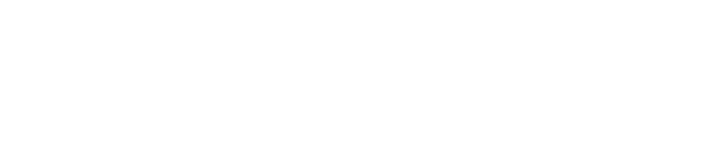 AIG Metropolitana