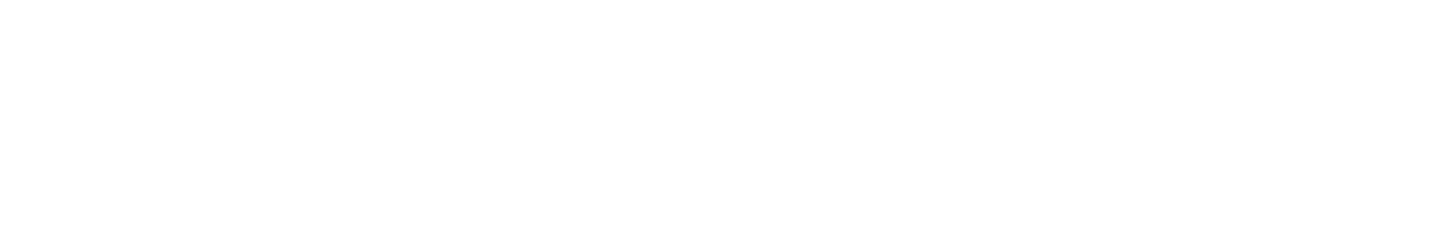 1001Carros.com